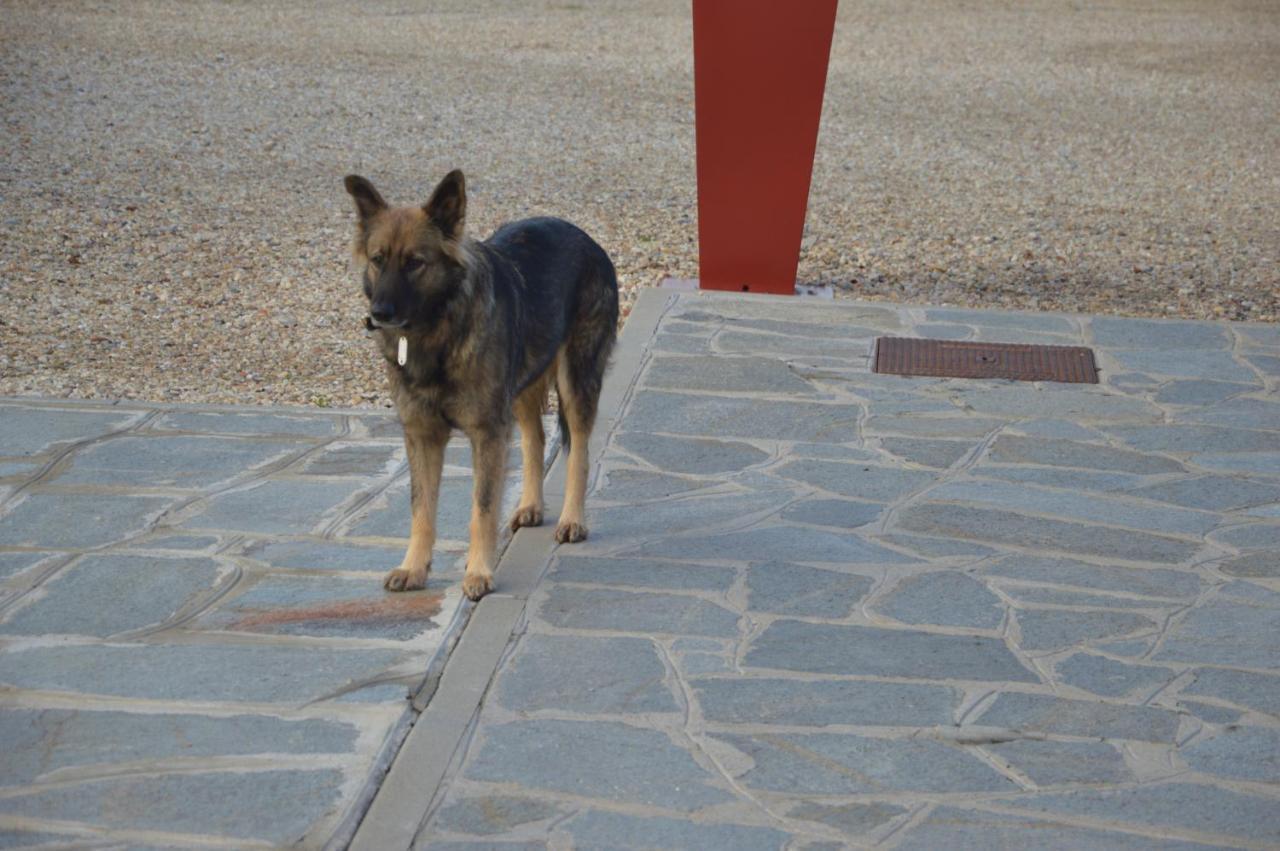 Il Poggio Agrisport Villa Poirino Kültér fotó